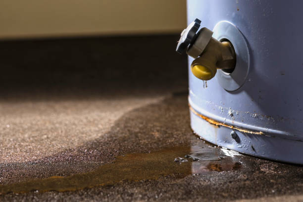 Best Ceiling water damage repair  in Frazier Park, CA