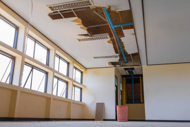 Best Fire Damage Restoration  in Frazier Park, CA