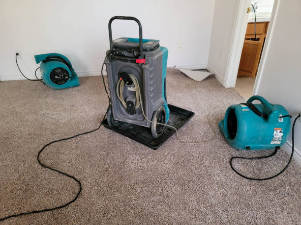 Best Ceiling water damage repair  in Frazier Park, CA