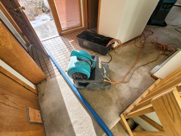 Best Flooded house restoration  in Frazier Park, CA