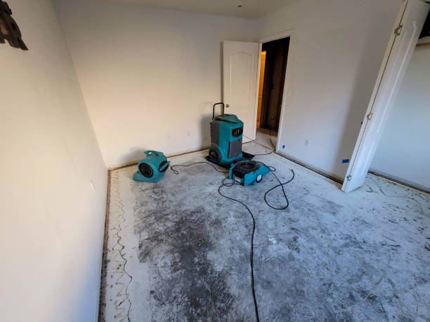 Best Carpet water damage restoration  in Frazier Park, CA