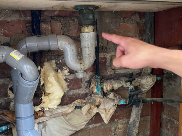 Best Basement water damage restoration  in Frazier Park, CA