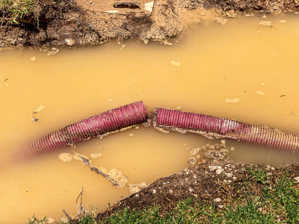 Best Emergency water damage restoration  in Frazier Park, CA