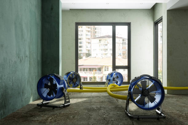Best Flood restoration services  in Frazier Park, CA