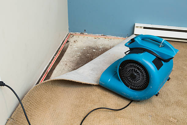 Best 24-hour water damage restoration  in Frazier Park, CA